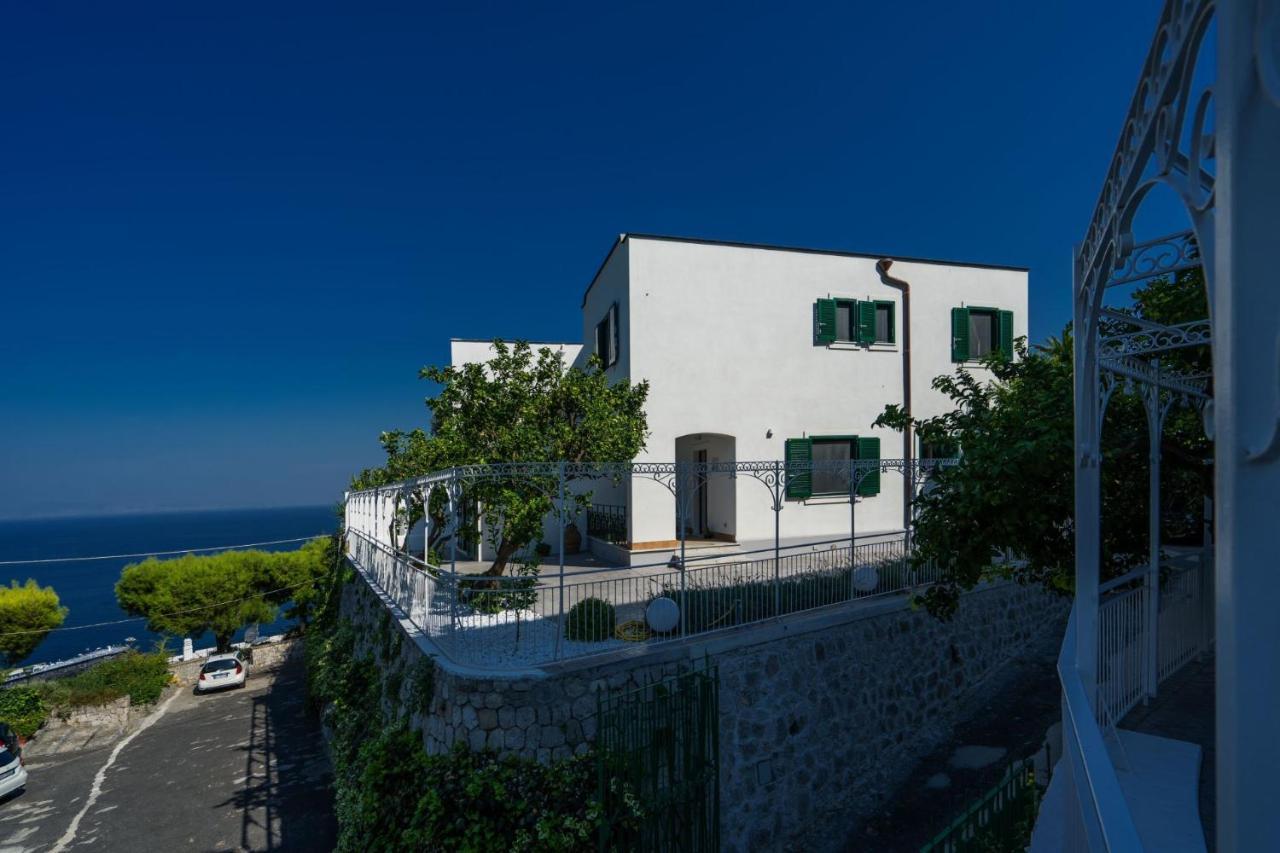 Villa La Pagaia Sorrento Coast Vico Equense Exterior foto